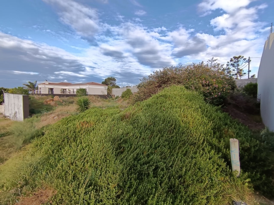 Commercial Property for Sale in Humerail Eastern Cape